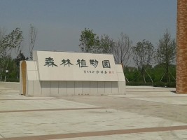 带儿童福利院的孩子们感受秋天